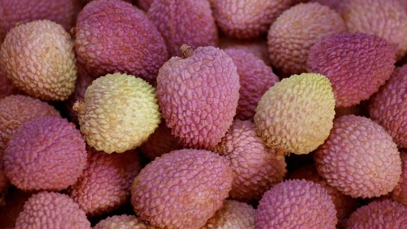 Frutas exóticas e seus benefícios para a saúde