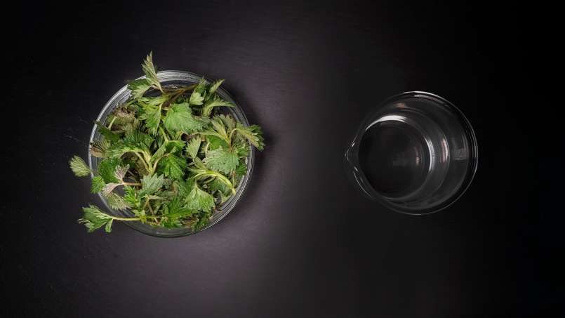 Tintura de urtiga líquida